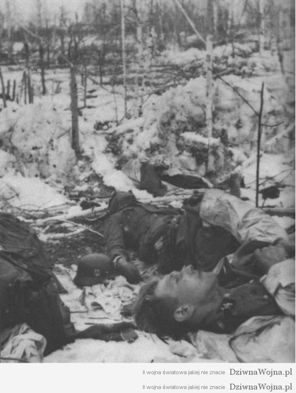 Ciala zabitych członkow Waffen SS