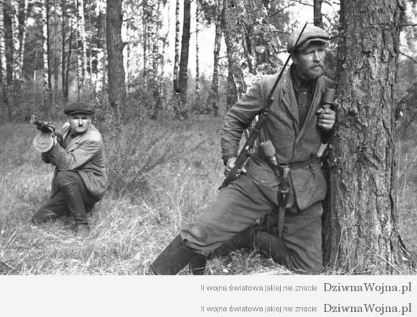 https://dziwnawojna.pl/wp-content/uploads/2013/09/1943-Partyzanci-na-Bia%C5%82orusi.jpg